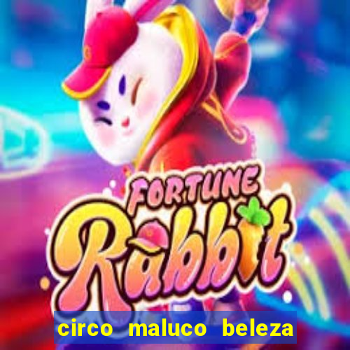 circo maluco beleza recife circo maluco